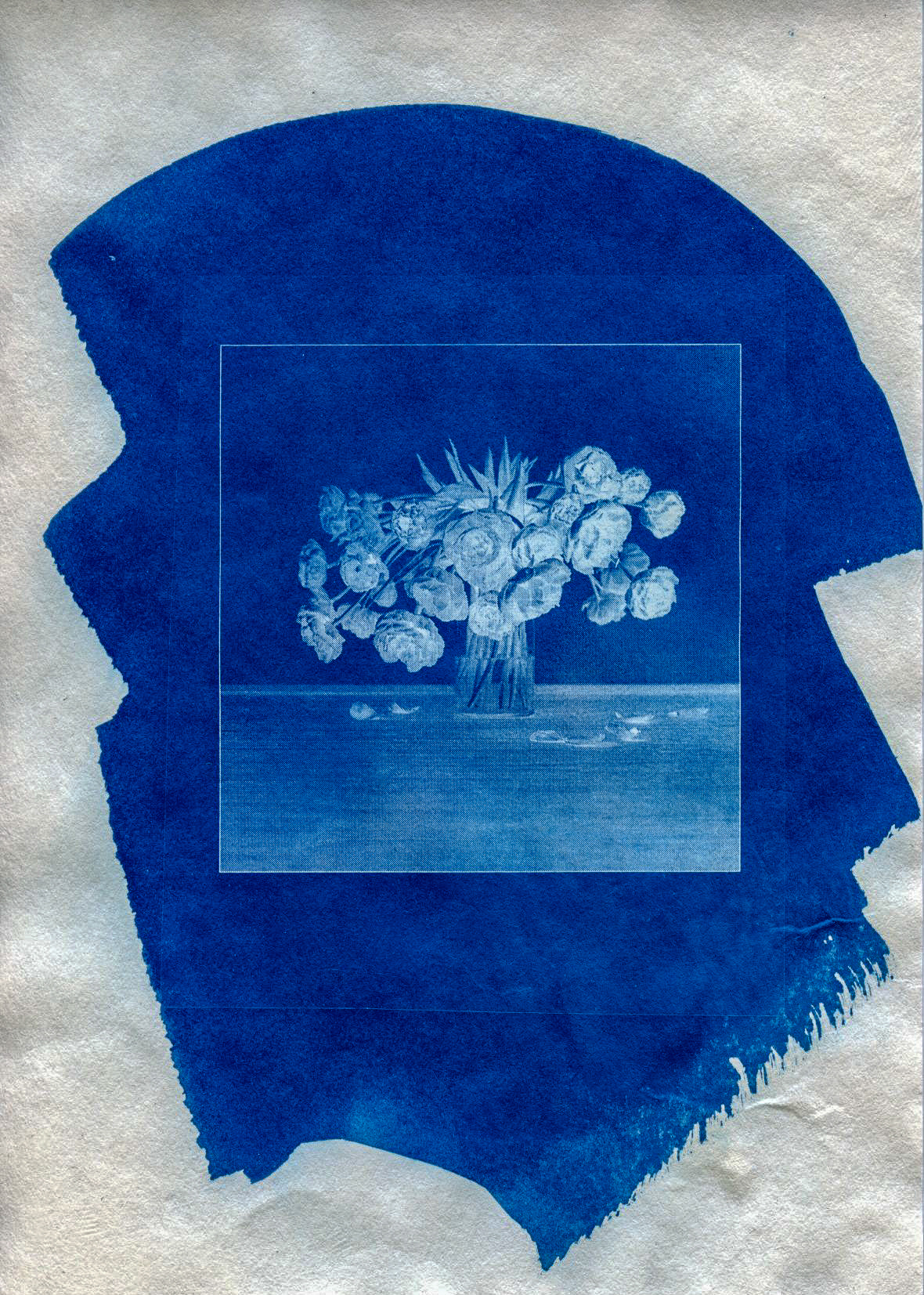Cyanotype