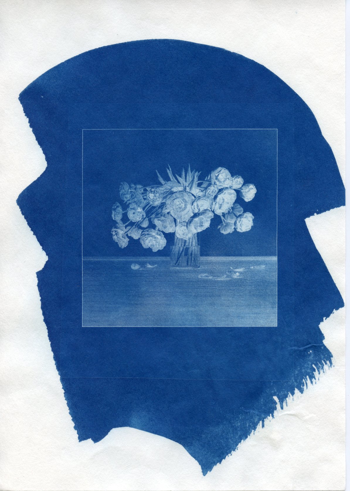 Cyanotype